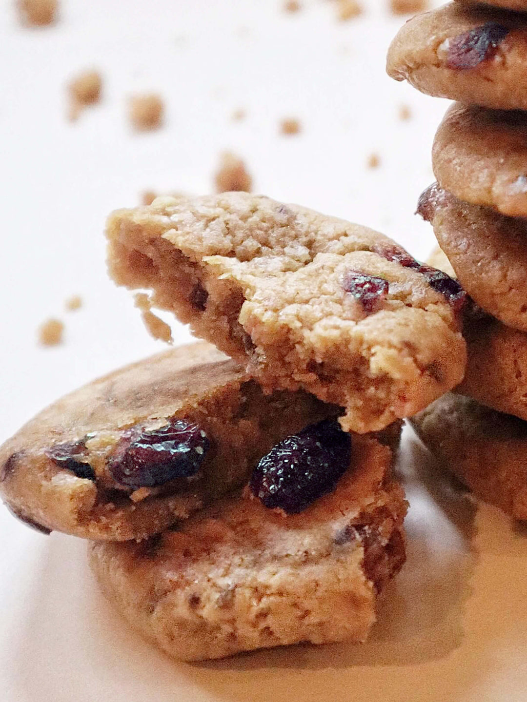 Gourmet Cookie | Oatmeal Raisin 1oz (20ct) – Erin Baker's®